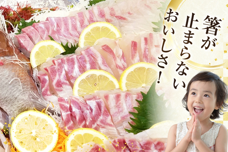 タイ 刺身 平戸なつ香 鯛 丸々 1匹 約2kg [（株）坂野水産 長崎県 平戸市 hr42bgy420108]