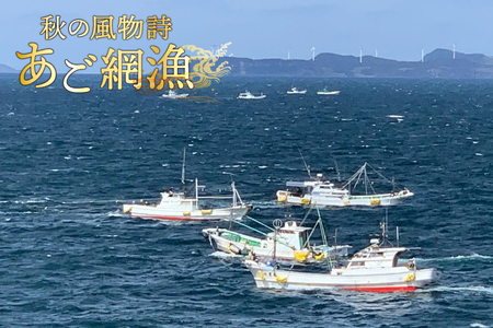 もつ鍋 セット 生月 あごだし 国産牛 もつ 鍋 セット 6～8人前 [Vive la Vie!(ビブラビ) 長崎県 平戸市 hr42bgy420228]