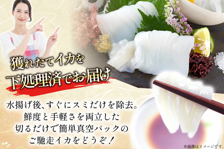 海鮮 魚介 イカ 4杯 1パック（冷凍） 12回 定期便 [舘浦漁協 長崎県 平戸市 hr42bgy420351]