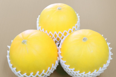 【期間限定発送】 メロン 2026 イエローキングメロン 計 5kg 前後 3玉 ~ 6玉 [ひらど新鮮市場 長崎県 平戸市 hr42bgy400029]