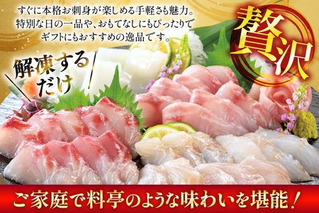 刺身 盛り合わせ 旬魚のお刺身 セット 約300g 定期便 3回 計 900g [ひらど新鮮市場 長崎県 平戸市 hr42bgy400117]
