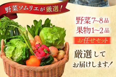 野菜 果物 ソムリエ厳選 地元野菜 果物 3回 定期便 [ひらど新鮮市場 長崎県 平戸市 hr42bgy400197]