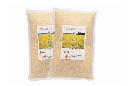 米 令和7年 棚田米 10kg [ひらど新鮮市場 長崎県 平戸市 hr42bgy400202]