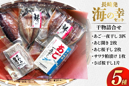 干物 セット お試し 干物 5種 詰め合わせ [篠崎海産物店 長崎県 平戸市 hr42bgy410385]