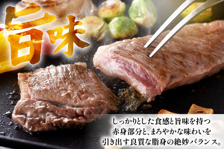 和牛 ステーキ 長崎和牛 サーロイン 250g 2枚 ソース付き 3回 定期便 計1.5kg [萩原食肉産業 長崎県 平戸市 hr42bgy410031]