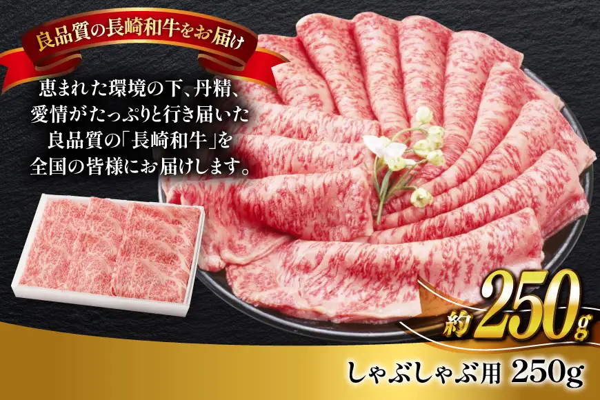 牛肉 長崎和牛 しゃぶしゃぶ用 約250g [萩原食肉産業 長崎県 平戸市 hr42bgy410255]