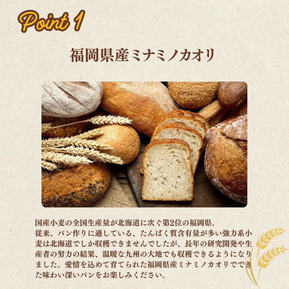 【福岡市内製造】あなたもパン屋さん！ 福岡県産強力粉 1.2kg入×5袋セット（6kg）
