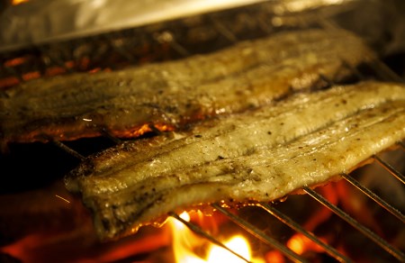 【うなぎ 白焼き】老舗料亭の長焼（２尾）｜うなぎ