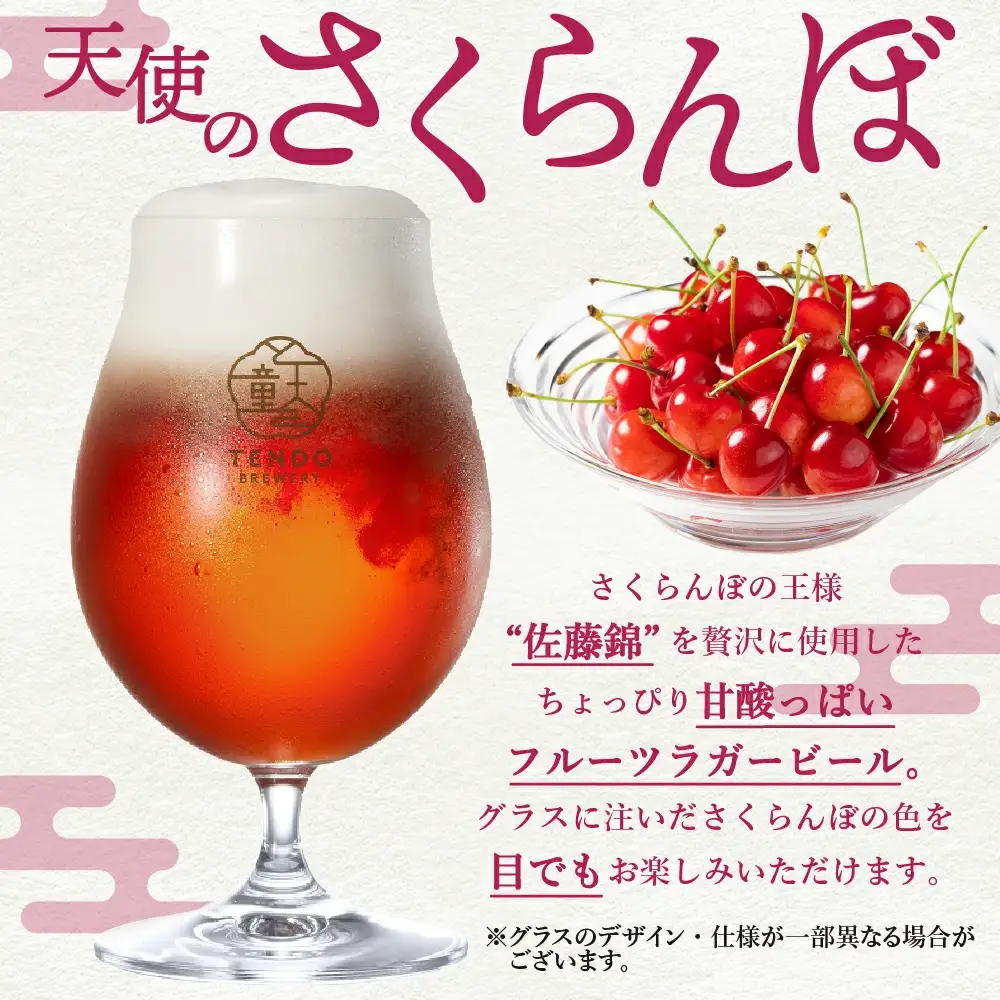 TENDO BREWERY ・ クラフトビール 6本 セット ビール 08-37-005