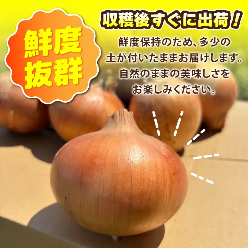 葛葉玉ねぎ 6kg【15〜20玉 泉佐野市 泉州たまねぎ 肉厚 甘い】