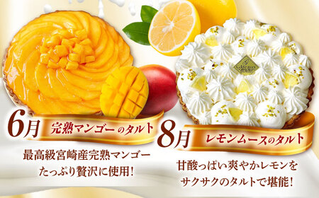 【偶数月 5回定期便】季節の タルト 定期便 / ティラミス お菓子 ケーキ チョコレート マンゴー レモン タルト フルーツ 旬 スイーツ 南島原市 / アトリエジジ[SAA034]