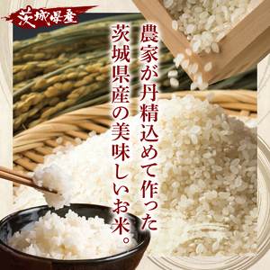 米 ミルキークイーン 精米 5kg 茨城県産 白米 国産米 単一原料米 お米 5キロ（94-03）