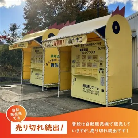 養鶏場から直送!甘くておいしい「山頂たまご」赤たまご　40個【1486633】