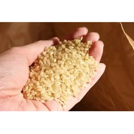 【五つ星お米マイスター厳選】青森県産　青天の霹靂　白米10kg【1676688】