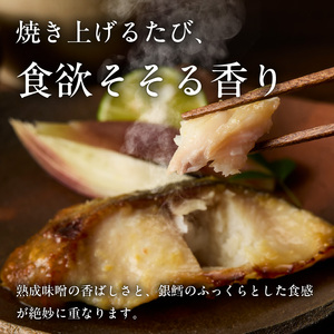 銀鱈 みそ漬 計 10切 5切 × 2パック まろやか 甘み 糀味噌 漬け込み 引き出す とろける 旨み 脂のり 良い やさしい やわらかい 白身 味噌 相性抜群 熟成味噌 香ばしさ ふっくら 食感 冷凍 簡単調理 時短 おかず おつまみ お取り寄せ 北海道 函館市 送料無料 _HD139-018