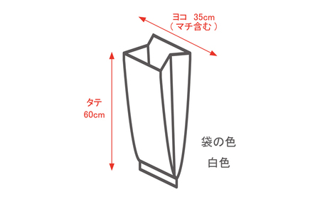ウィズケア　大人用消臭おむつ処理袋　ビッグ　100枚　×1セット[BICD010]