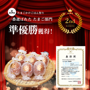 S038-T03_【定期便3回】天草 タマンゴ 6個 卵