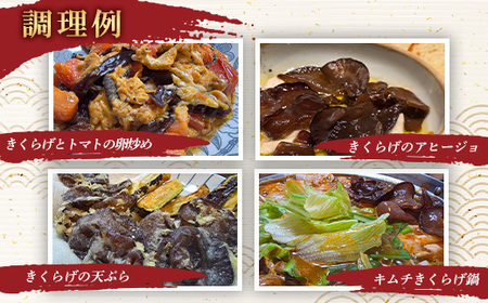 群馬県産 乾燥きくらげ (こたちゃんきくらげ)セット 60g 無添加 無農薬 国産