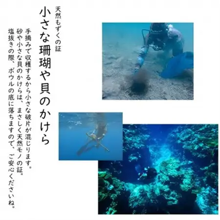 【数量限定・産地直送】素潜り漁師が手摘み採取!幻の天然もずく 塩蔵2.5kg(500g×5袋)【配送不可地域：離島】【1672257】