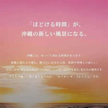 【毎月定期便】オリオン ザ・プレミアム 1ケース(350ml×24本)オリオンビール全12回【4075450】