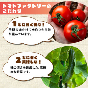 【期間限定】 トマトファクトリー 野菜 詰め合わせ セット トマト きゅうり 2kg 箱入り とまと キュウリ 野菜 やさい 野菜セット 新鮮 採れたて 季節 甘い 糖度 高糖度 あまい 食材 旬 栽培 産地直送 農家直送 農家応援 滋賀県 日野町 ふるさと納税 送料無料