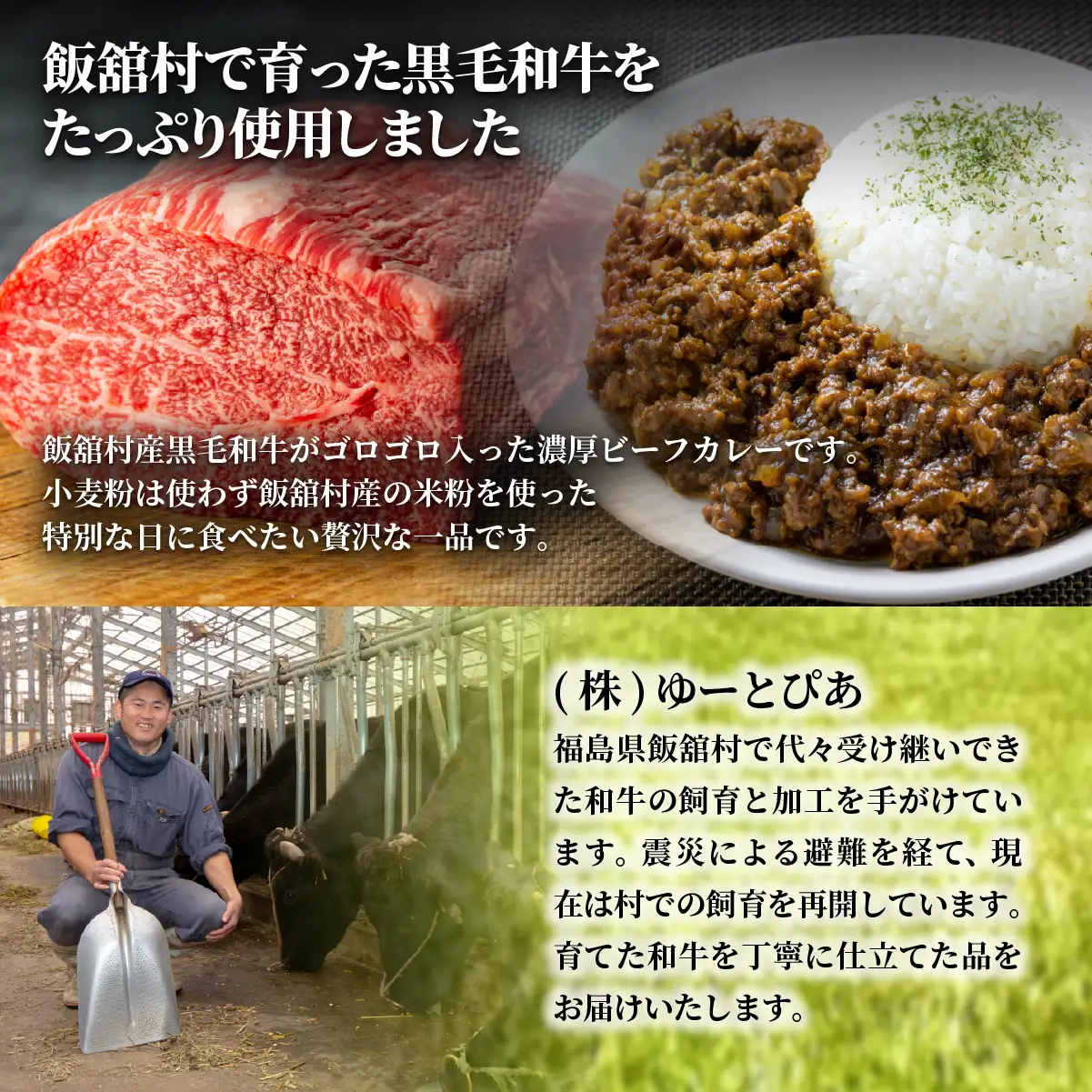 飯舘産黒毛和牛キーマ　10食セット ITTAH003