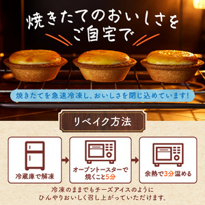 北海道チーズタルト　６個｜ 札幌農学校 タルト