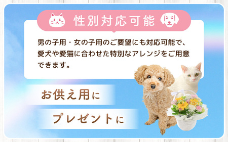 ペット用御供アレンジメント 1点 性別対応可能 【お花 フラワー アレジメント 花束 生花 花 洋花 ペット 愛犬 愛猫】 [A-20706]