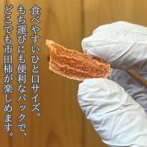 市田柿 柿チップ（100g×3袋）ひとくちサイズ