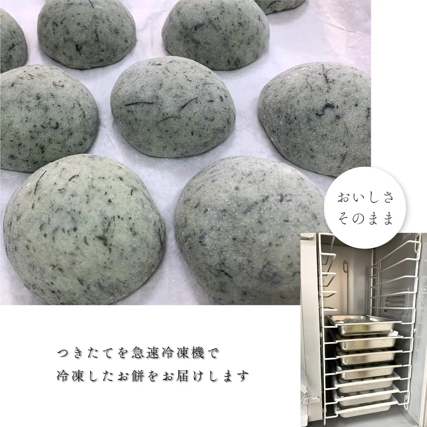 杵つき餅（急速冷凍） あん入り10個（白 5個・よもぎ 5個）・丸餅（白）10個