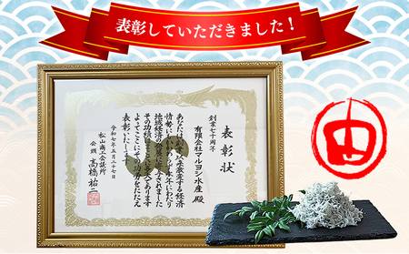 ＜訳あり ちりめん 約750g(250g×3袋)＞ ちりめんじゃこ じゃこ 家庭用 海鮮 海産物 丼 おにぎり 具材 ご飯 おつまみ おやつ 小魚 乾物 国産 マルヨシ水産 特産品 愛媛県 西予市【冷蔵】『1か月以内に順次出荷予定』AMS0023