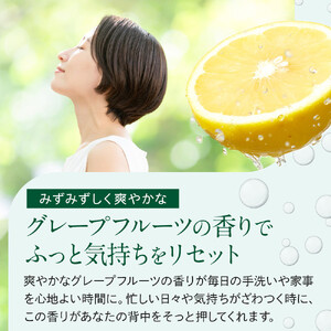 【テレビで紹介されました！】バーデンス　ボディシャンプーB　500ml