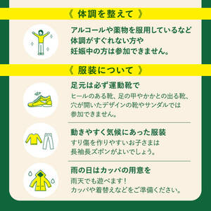 【キャノピーコース】フォレストアドベンチャー・おおすみ 体験 チケット (1名分)【フォレストアドベンチャー・おおすみ】 A963