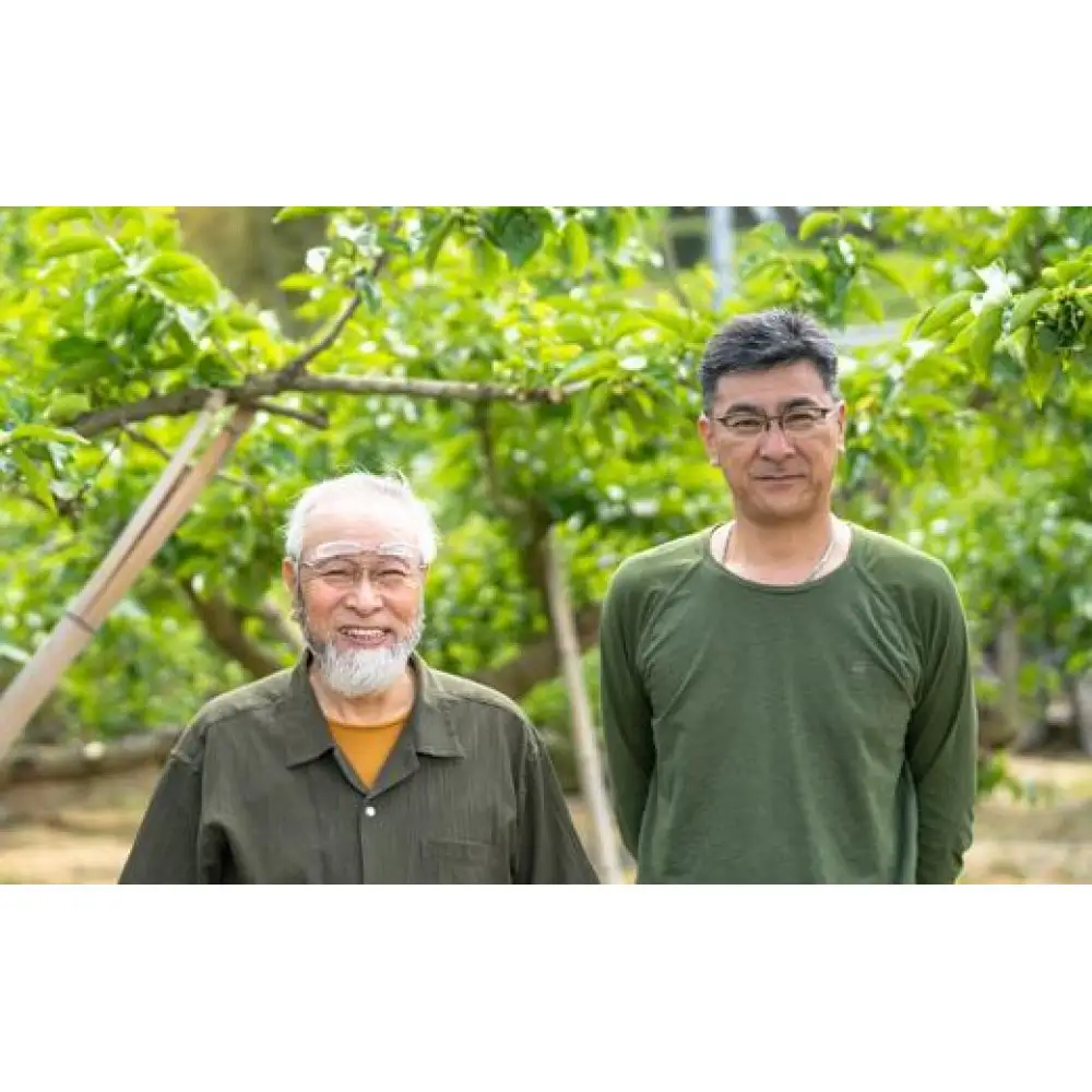 ［梅干・梅酒用］小粒（SまたはM－3Kg）熟南高梅＜2026年6月下旬～7月中旬発送予定＞フルーツ 果物 くだもの 食品 人気 おすすめ 送料無料［ART20］