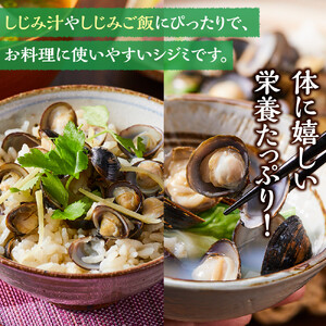 漁師直送！宍道湖産ヤマトシジミ・食べ比べ1.8kg（Lサイズ1kg+Mサイズ0.8kg）