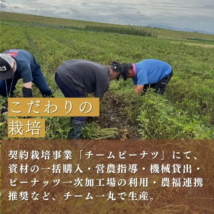 ピーナッツ　国産　会津産手むき素焼きうまピー×5袋　小分け　80g　５袋　農福連携　手剥き【07208-0770】
