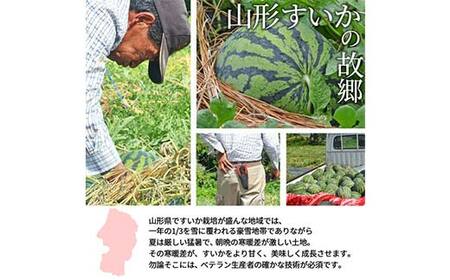 すいか 2L～3L(約7kg) 1玉 山形県産 ギフト用 【令和8年度産 先行予約】 FSY-2268