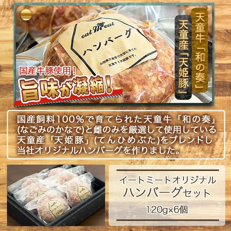 イートミート オリジナル ハンバーグ セット 120g×6個 08-27-010