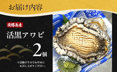 天然 活あわび 2個 活鮑 黒あわび あわび 鮑 貝 貝類 海鮮セット 刺身 お刺身 BBQ バーベキュー 海鮮 冷蔵 淡路島 洲本市