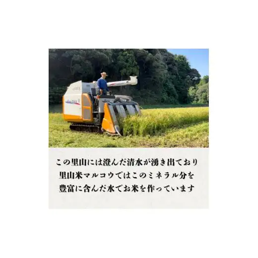 里山米マルコウ　つきあかり　5kg　精米 ／ 米 こめ コメ お米 おこめ つきあかり 令和7年産 白米 精米 ごはん ご飯 5kg 千葉県 匝瑳市 送料無料