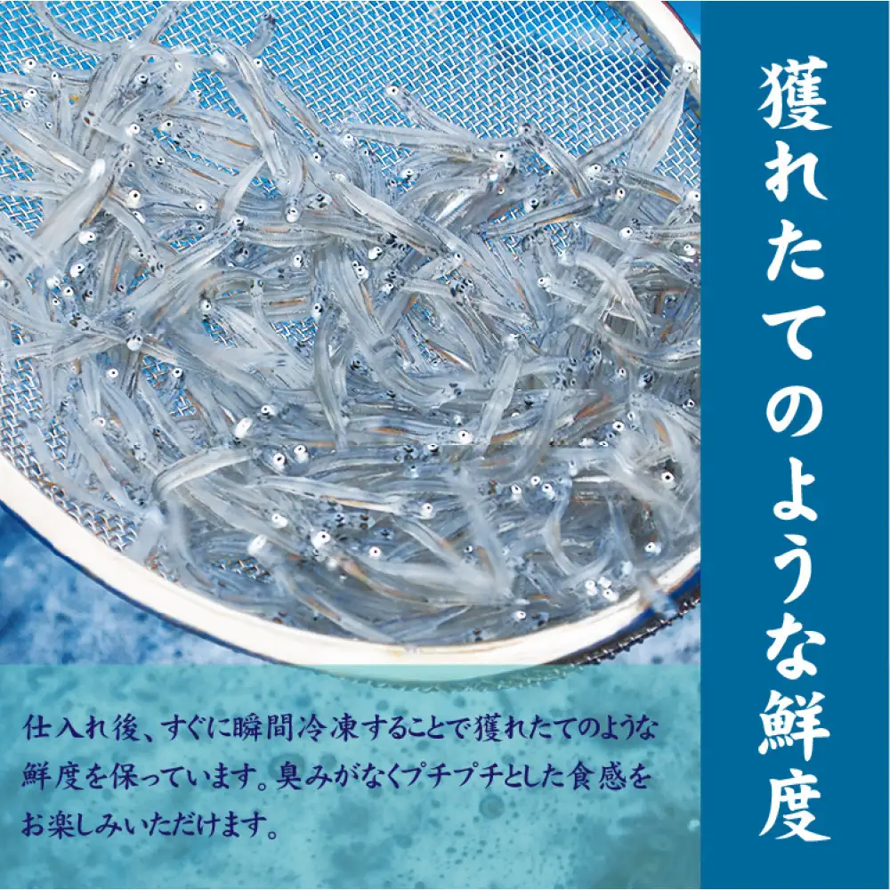 湘南しらす　3色セット