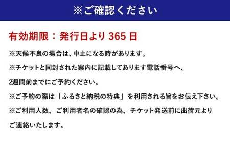 059-262x1 豊後大野市 ふるさと遊覧飛行 10分 （3人まで搭乗可）