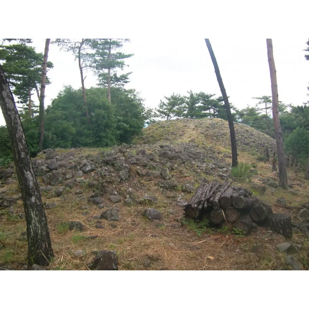 文化財専門員と行く！石清尾山古墳群（峰山地区）ガイド見学ツアー