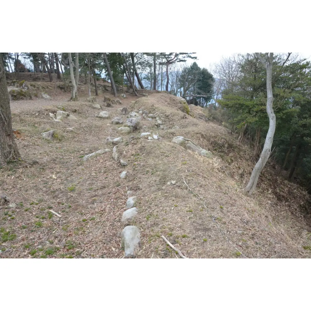 文化財専門員と行く！勝賀城ガイド見学ツアー