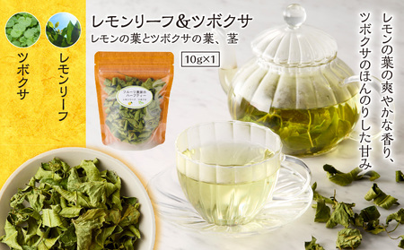 南国 奄美 より お届け フルーツ 農家 の ハーブティー お試し 3種セット A045-005 ハーブ お茶 茶 飲料 オリジナルブレンド ブレンド リラックス たんかん 月桃 レモンリーフ ツボクサ バナナ パッション ティータイム 休憩 奄美産 照井農園 ふるさと納税 鹿児島 奄美市 おすすめ ランキング プレゼント ギフト
