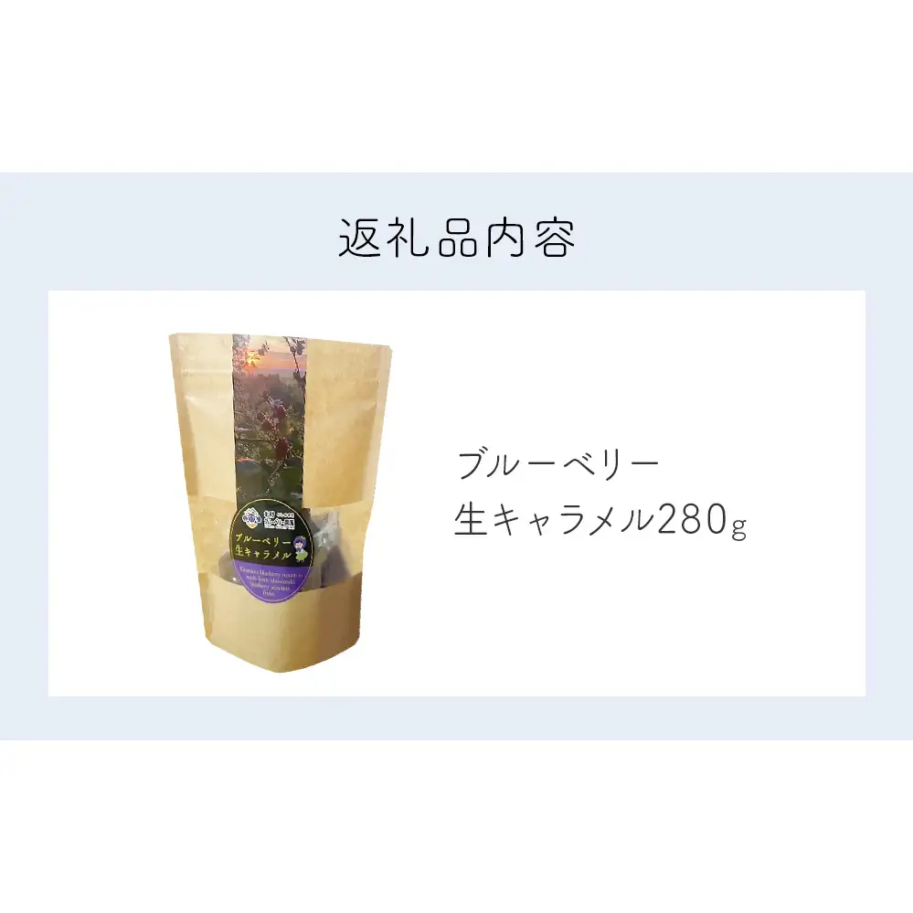 ＜ 先行予約 ＞ ブルーベリー 生キャラメル 280g 無添加 摘みたて 自然栽培 手作り 果実 100% キャラメル アントシアニン トッピング 石巻市産 宮城県 石巻市