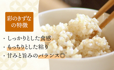 令和7年産【彩のきずな】玄米20kg 色彩選別済 Brown Rice - お米 ごはん 