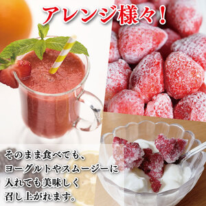 いちご 冷凍いちご 1.4kg