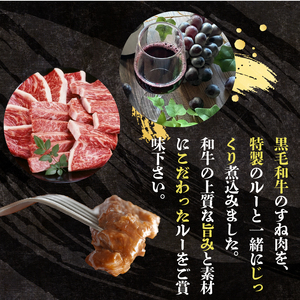 【 黒毛和牛 】 訳あり ビーフシチュー 640g ビーフシチュー