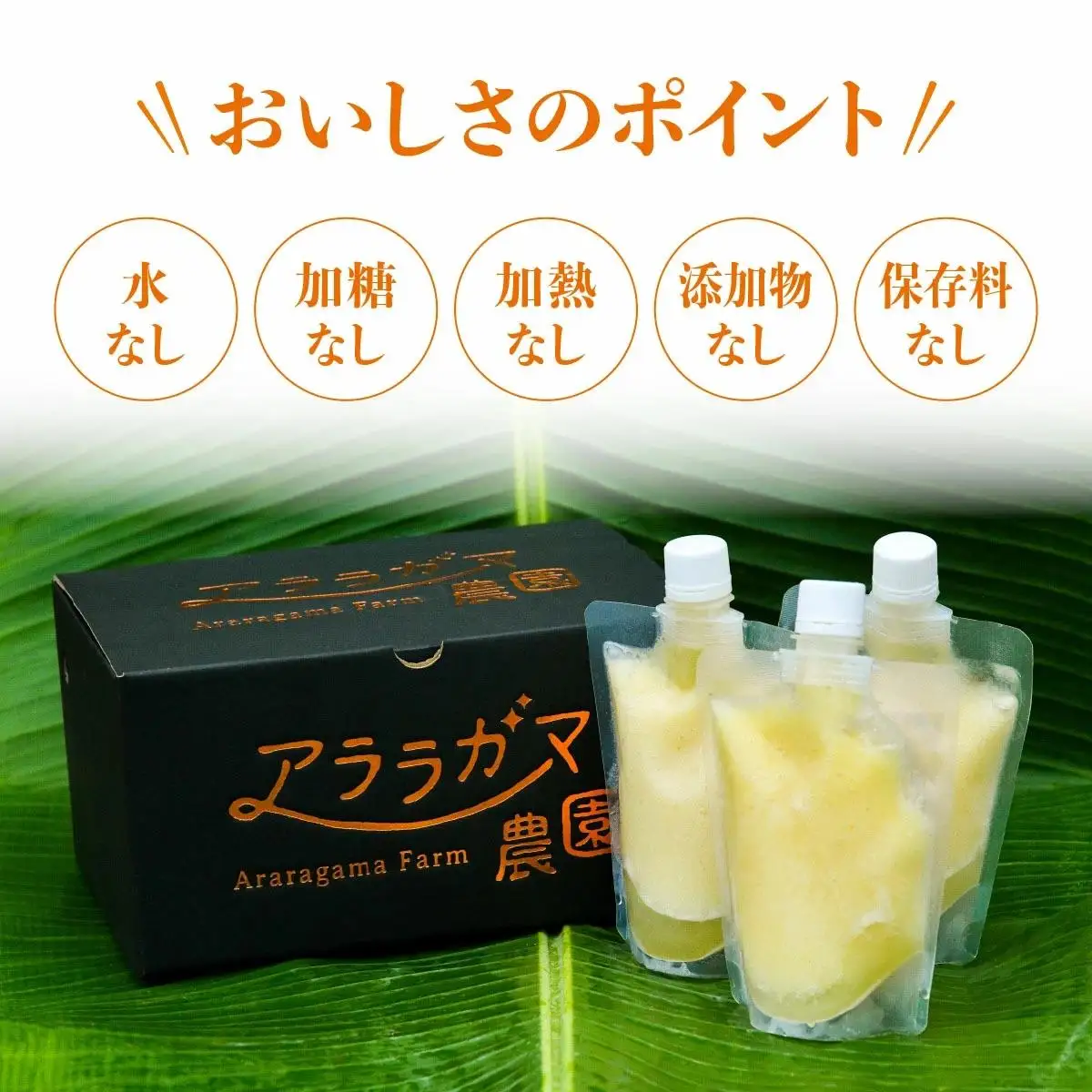 完熟生パイナップル冷凍ピューレ200ml×9本セット